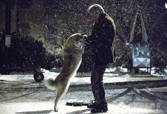 消防犬 电影_消防狗的电影叫什么名字_电影消防犬的主要内容