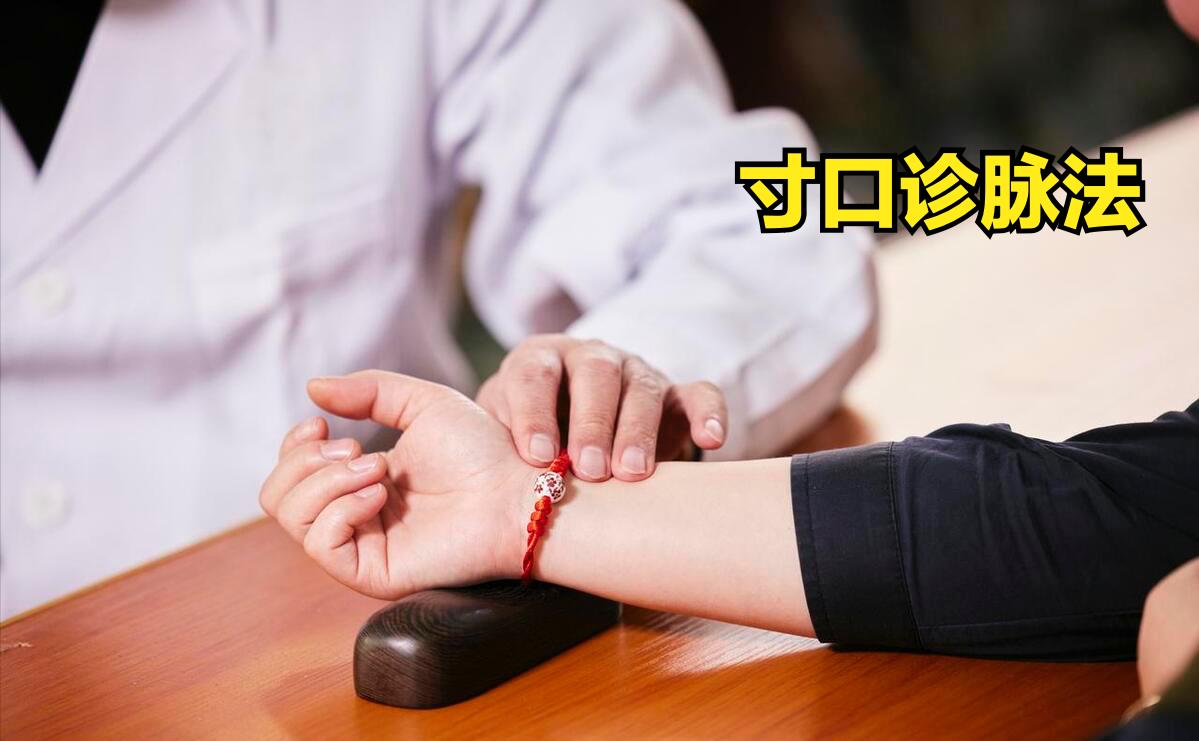 寸关尺位置图_尺寸关对应什么_尺寸关系