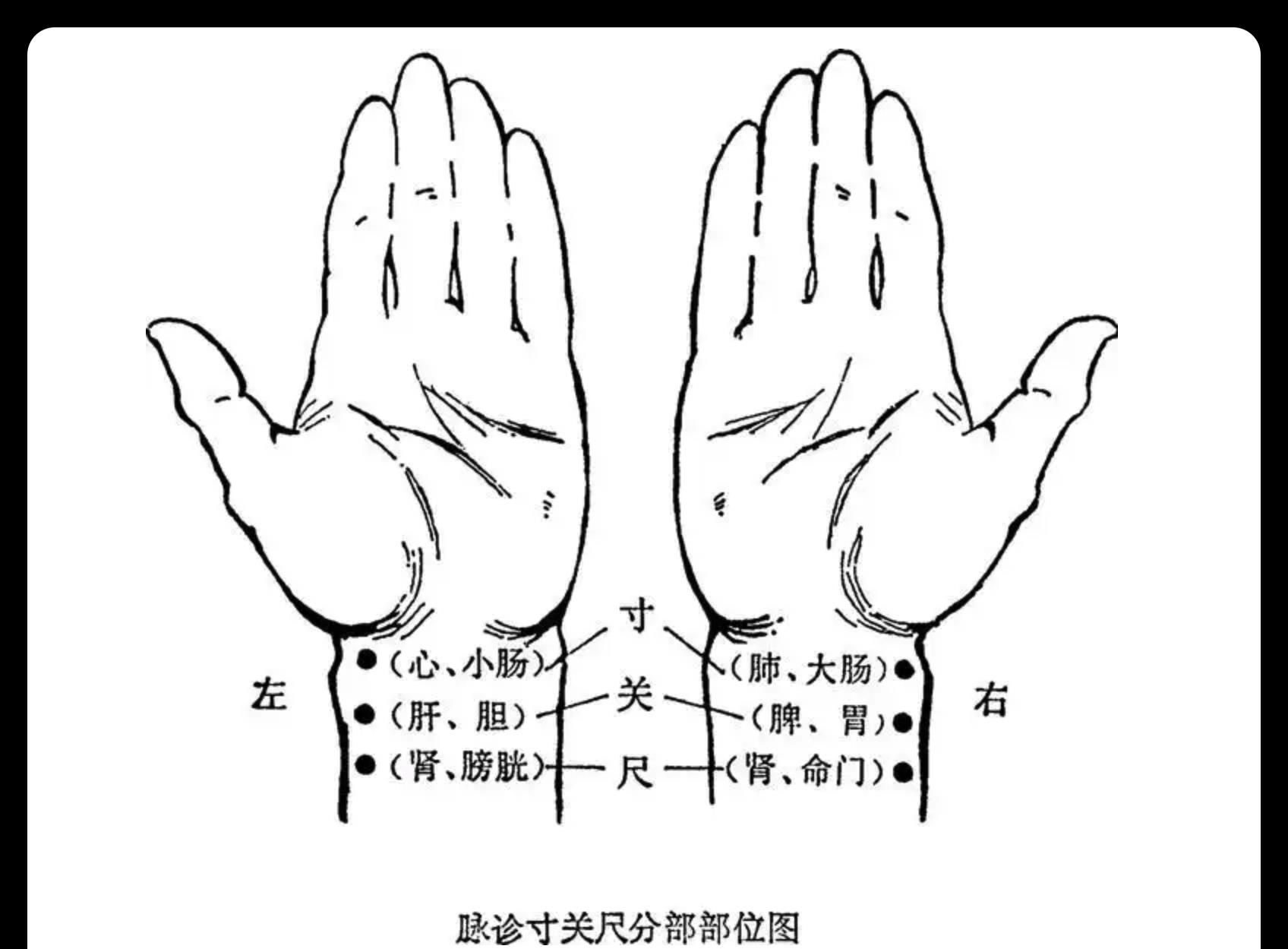 尺寸关对应什么_尺寸关系_寸关尺位置图