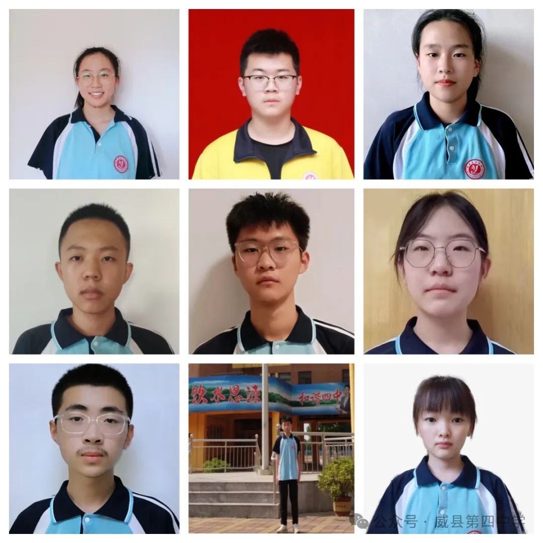 2024 党员 教师工作 总结_党员教师工作总结2020年_党员教师年度总结2020