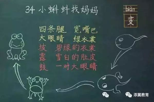 教师教学设计的要素_要素教学法_要素教学教师设计案例