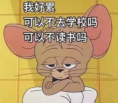 龙岗区 289 名新教师岗前封闭培训圆满落幕，将为教育注入新鲜血液图3
