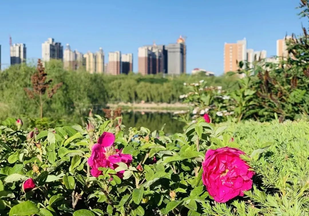 中国教师发展网怎么登陆_中国教师发展网登录_中国教师发展网app