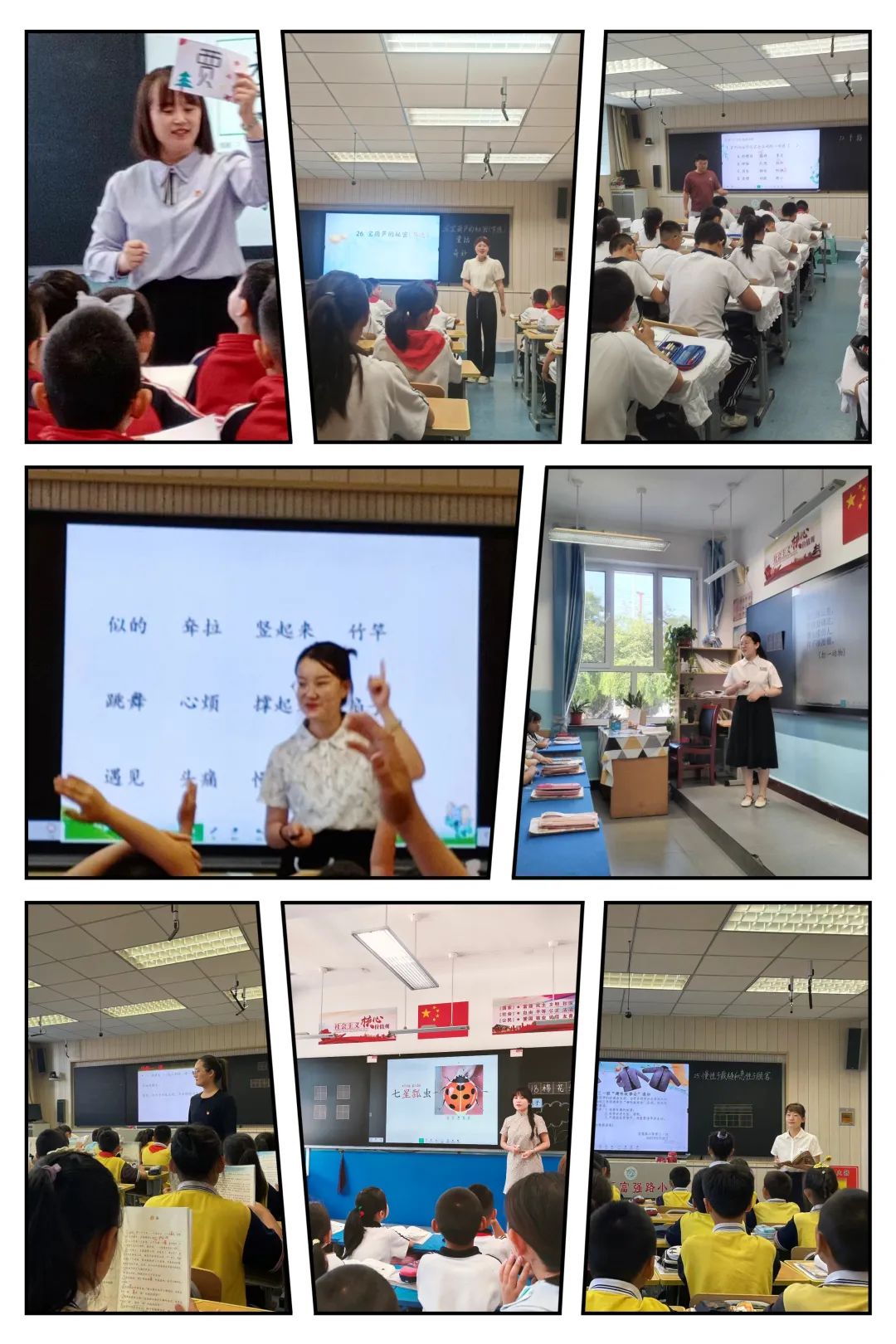 青年总结培养小学教师工作能力_小学青年教师培养工作总结_小学教师培养青年教师总结