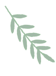 青年教师职业生涯规划书_生涯青年规划职业教师怎么写_青年教师职业生涯规划