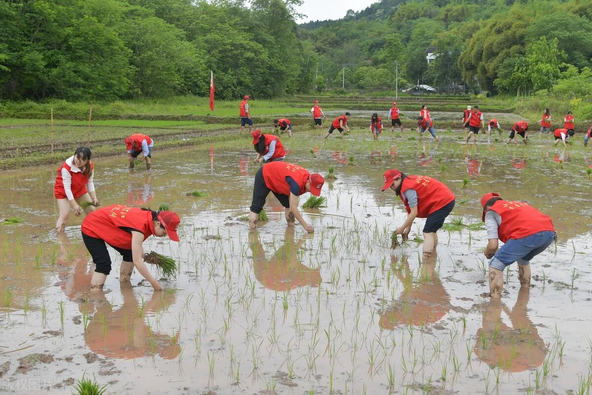 公务员考试职位报名人数查询_公务员考试岗位报考人数查询_国家公务员考试职位报考人数查询