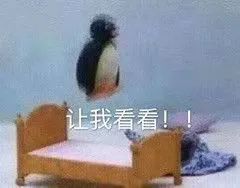 高中教师资格证书查询_高级中学教师资格查询_高中教师资格证网上查询