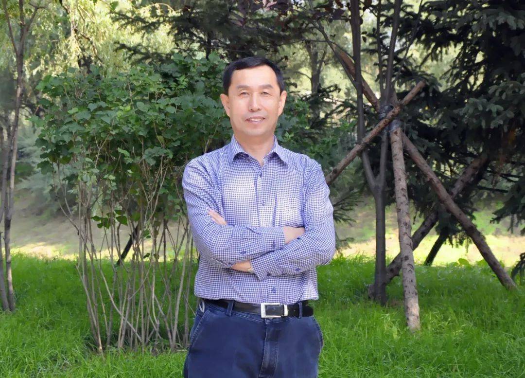 经历教育教师怎么填写_教师教育经历怎么写模板_教师教育经历