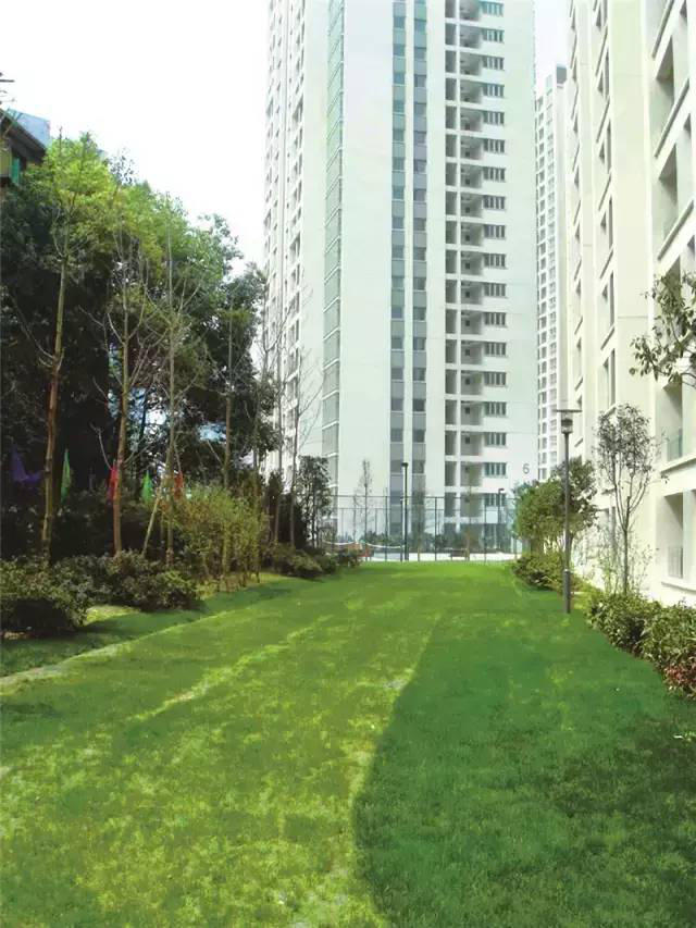 消防车道设计要点归纳