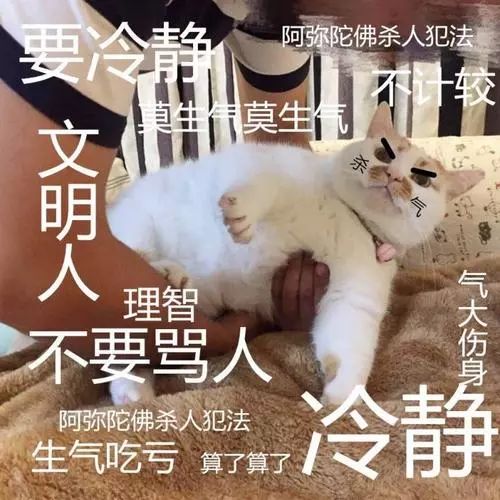 胶州路公寓还有人住吗_上海静安区胶州路公寓大楼_上海静安区胶州路728弄教师公寓