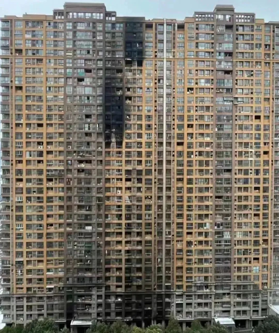 上海教师公寓火灾调查报告_上海教师公寓火灾_上海一教师公寓发生特大火灾