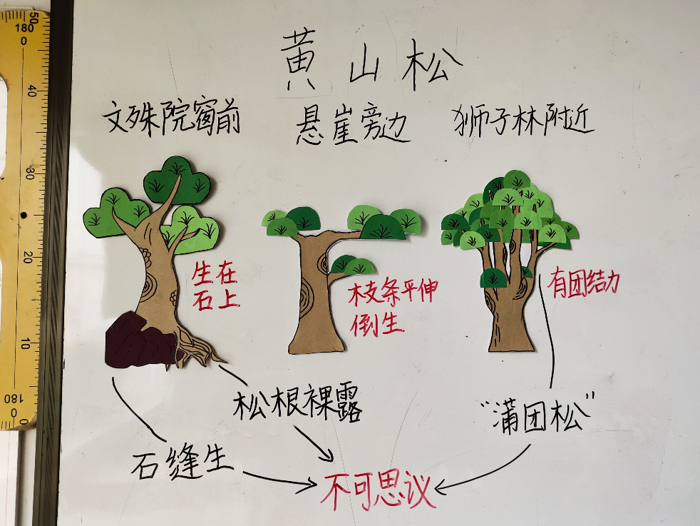 中学优秀教师代表发言稿_稿发言中学优秀代表教师怎么写_优秀中学生代表发言