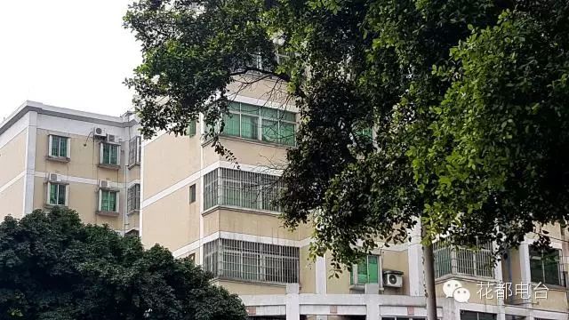 逃生消防软梯规范要求_消防逃生软梯_逃生消防软梯图片