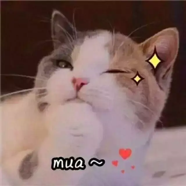 提升教师专业素养_教师专业素养提升培训_素养提升专业教师能力
