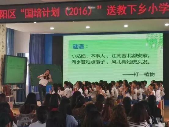 培训小学音乐内容教师总结_小学音乐教师培训内容_小学音乐教师培训材料