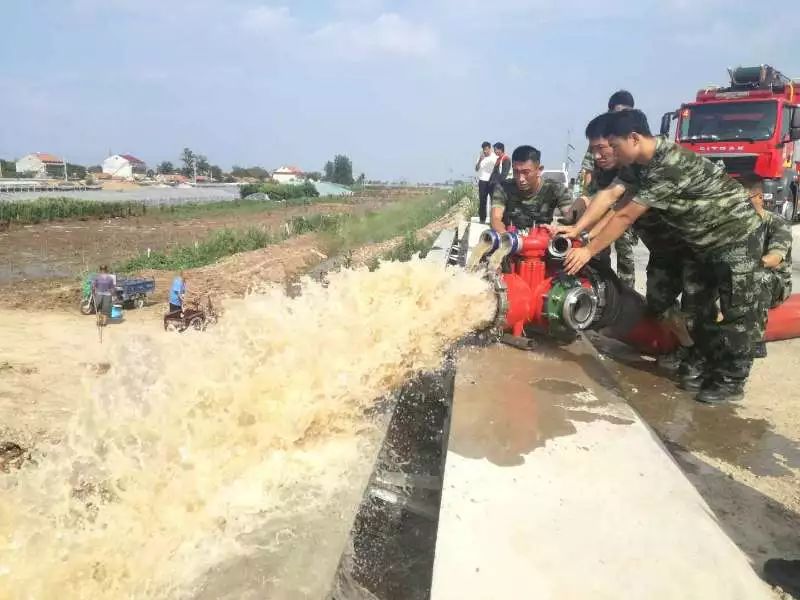 山东省消防支队_山东省消防局_山东省农业厅 消防