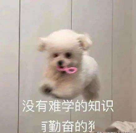 怎么找回国考准考证号_如何找回准考证号和考生号_国考准考证号找回