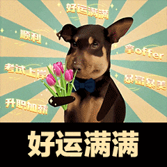 2024 年浙江事业单位统考笔试成绩已出，速查