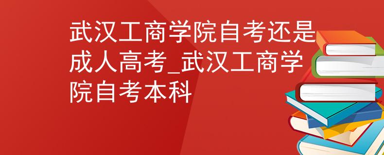 武汉工商学院自考还是成人高考_武汉工商学院自考本科