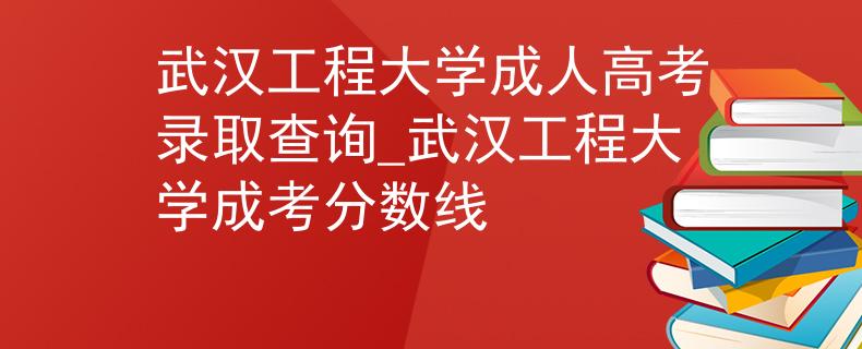 武汉工程大学成人高考录取查询_武汉工程大学成考分数线