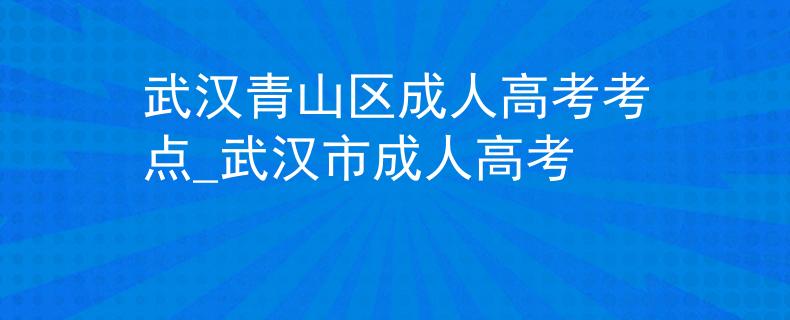 武汉青山区成人高考考点_武汉市成人高考