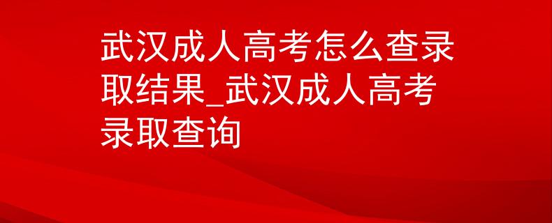 武汉成人高考怎么查录取结果_武汉成人高考录取查询