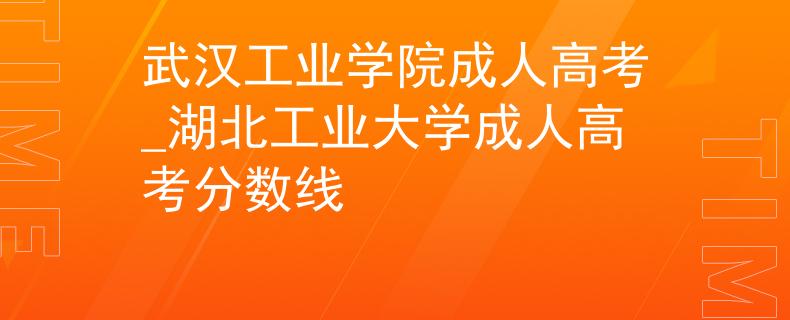 武汉工业学院成人高考_湖北工业大学成人高考分数线