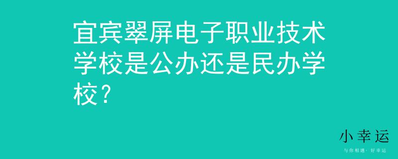 宜宾翠屏电子职业技术学校是公办还是民办学校？