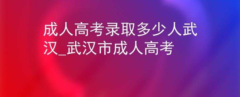 成人高考录取多少人武汉_武汉市成人高考