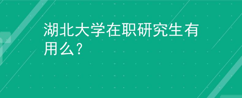 湖北大学在职研究生有用么？