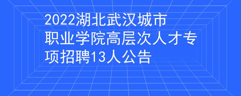 2022湖北武汉城市职业学院高层次人才专项招聘13人公告