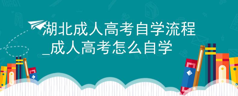 湖北成人高考自学流程_成人高考怎么自学