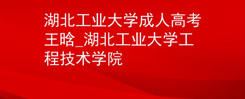 湖北工业大学成人高考王晗_湖北工业大学工程技术学院