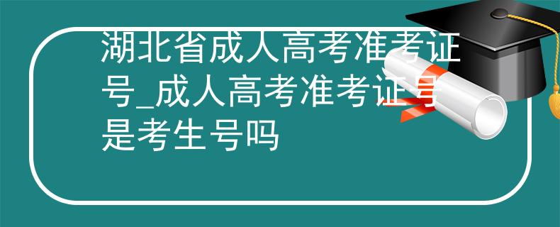 湖北省成人高考准考证号_成人高考准考证号是考生号吗