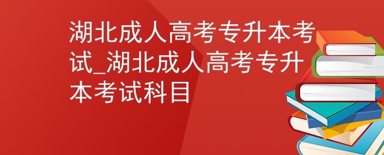 湖北成人高考专升本考试_湖北成人高考专升本考试科目
