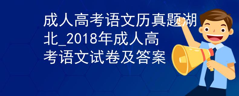 成人高考语文历真题湖北_2018年成人高考语文试卷及答案