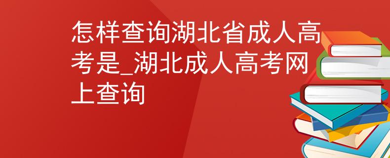 怎样查询湖北省成人高考是_湖北成人高考网上查询