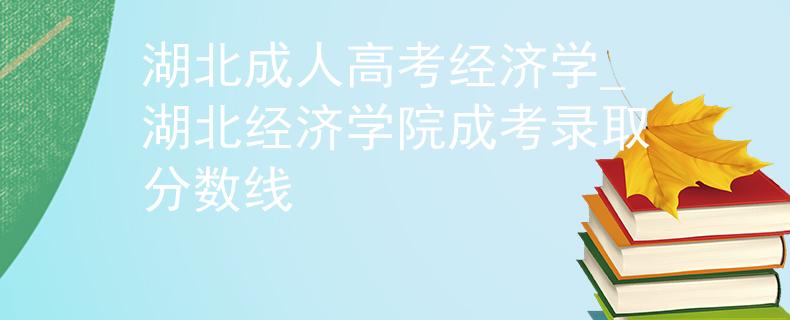 湖北成人高考经济学_湖北经济学院成考录取分数线