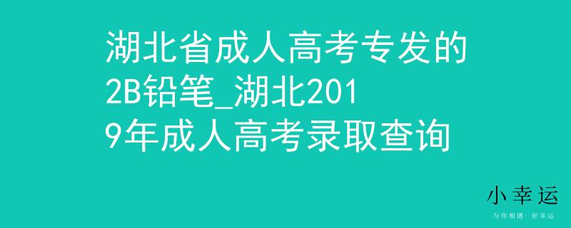 湖北省成人高考专发的2B铅笔_湖北2019年成人高考录取查询