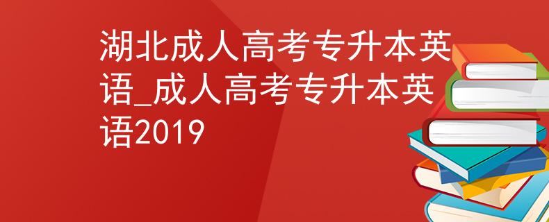湖北成人高考专升本英语_成人高考专升本英语2019