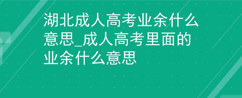 湖北成人高考业余什么意思_成人高考里面的业余什么意思