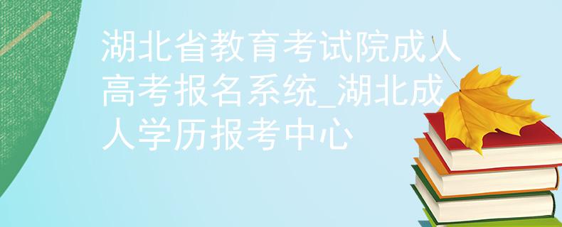 湖北省教育考试院成人高考报名系统_湖北成人学历报考中心