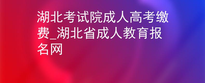 湖北考试院成人高考缴费_湖北省成人教育报名网