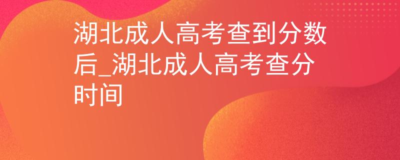 湖北成人高考查到分数后_湖北成人高考查分时间