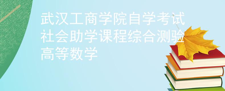 武汉工商学院自学考试社会助学课程综合测验高等数学
