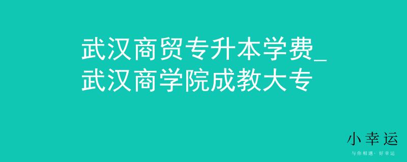 武汉商贸专升本学费_武汉商学院成教大专