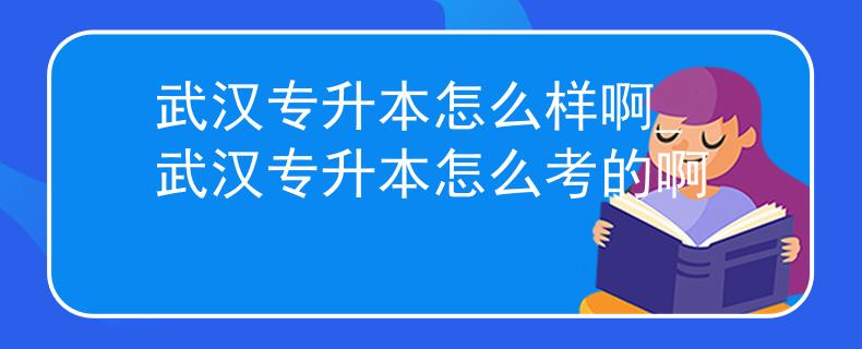 武汉专升本怎么样啊_武汉专升本怎么考的啊