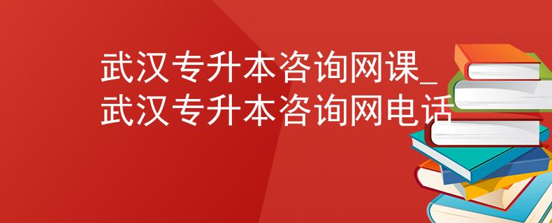 武汉专升本咨询网课_武汉专升本咨询网电话