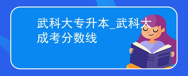 武科大专升本_武科大成考分数线