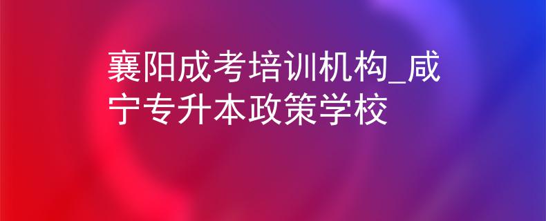 襄阳成考培训机构_咸宁专升本政策学校